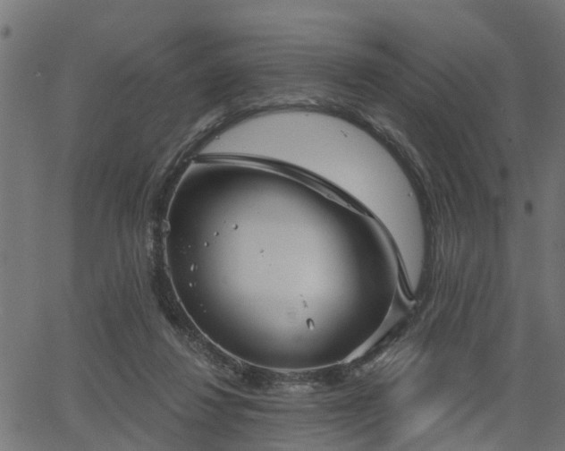 X0000066010260200603061305