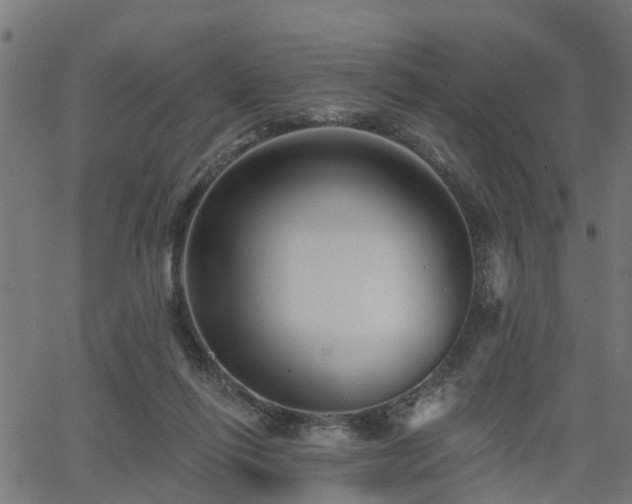 X0000066010262200603061305