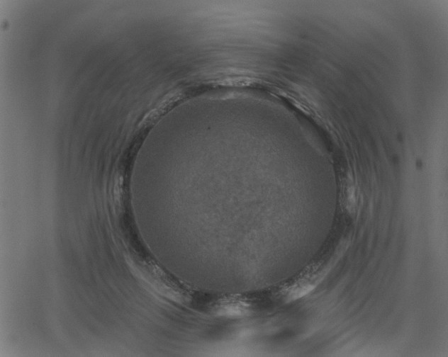 X0000066010263200603061305