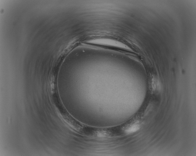 X0000066010264200603061305