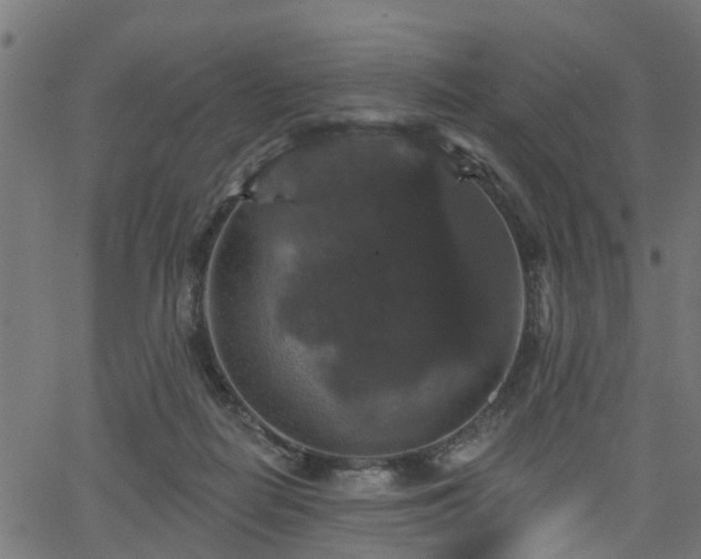 X0000066010266200603061305