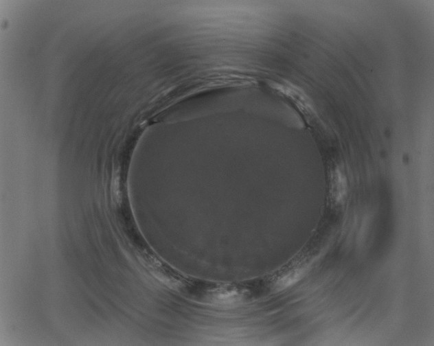 X0000066010267200603061305