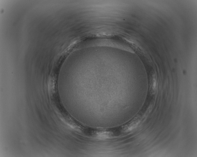 X0000066010268200603061305