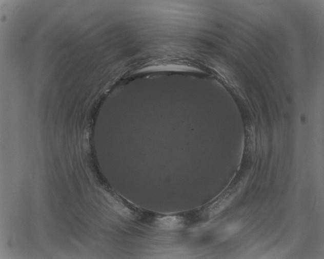 X0000066010269200603061305