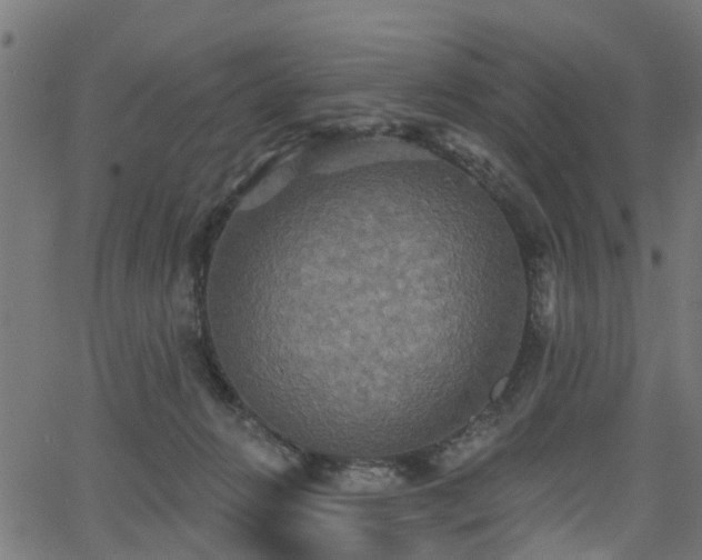 X0000066010270200603061305