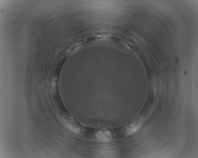 X0000066010271200603061305