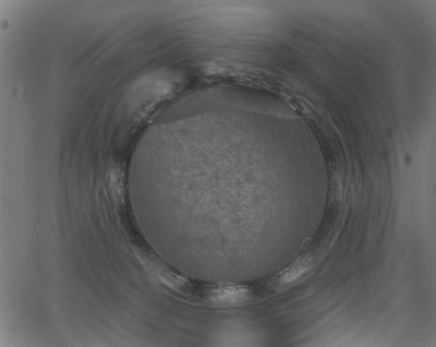 X0000066010274200603061305