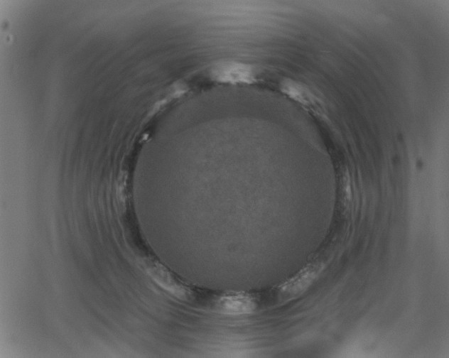 X0000066010275200603061305