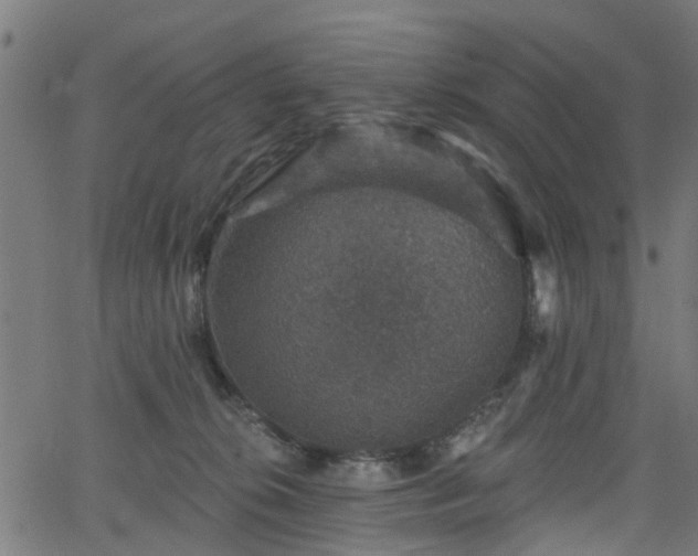 X0000066010276200603061305