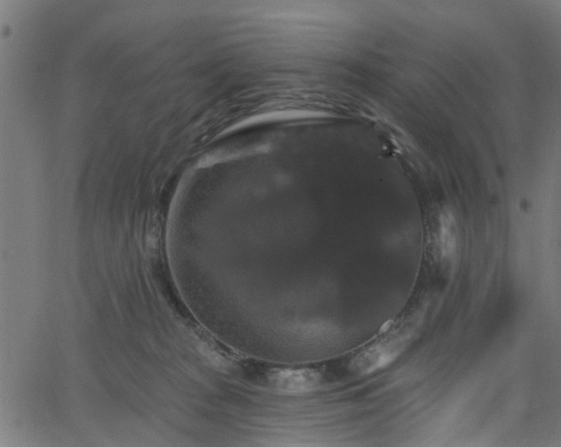 X0000066010277200603061305