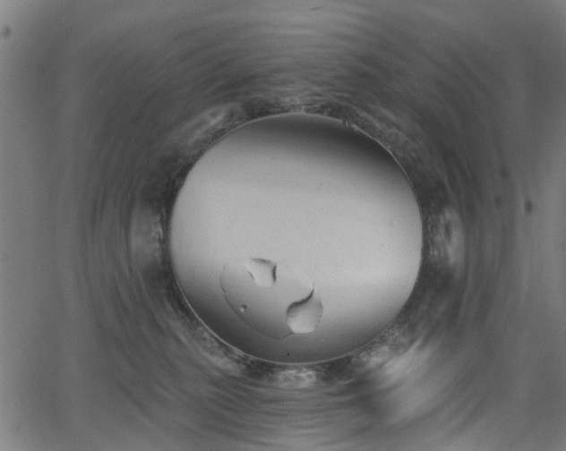 X0000066010279200603061305