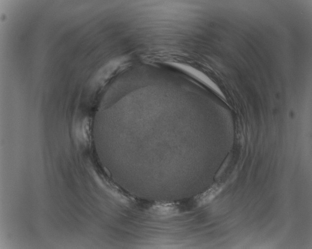 X0000066010280200603061305