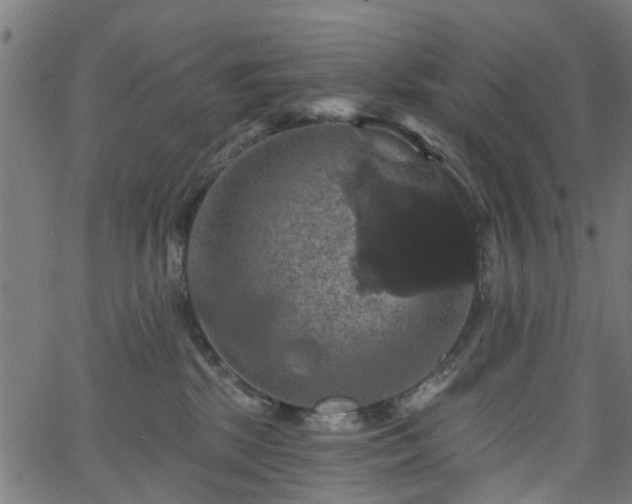 X0000066010281200603061305