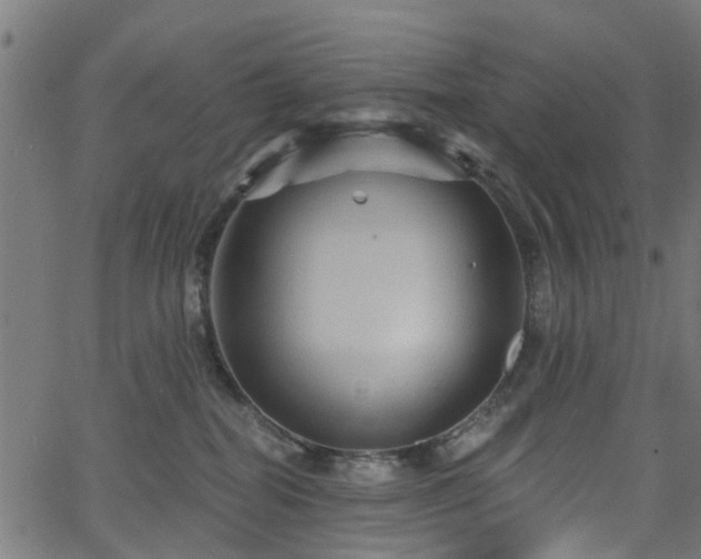 X0000066010282200603061305