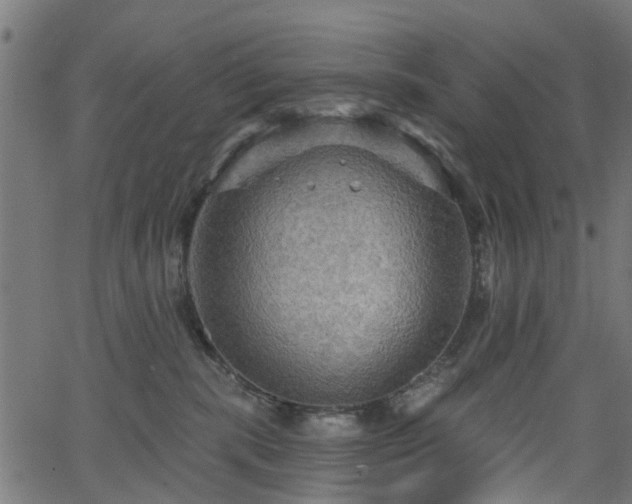 X0000066010283200603061305