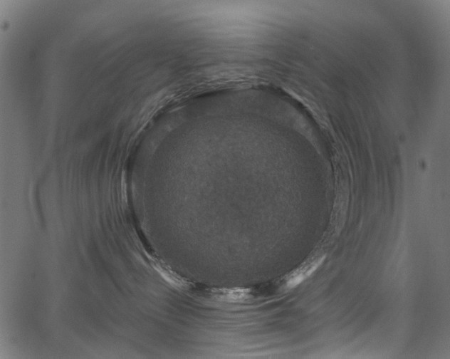 X0000066010288200603061305