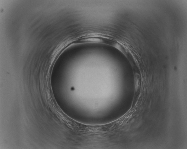 X0000066010289200603061304