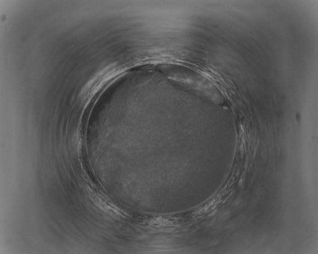 X0000066010290200603061304