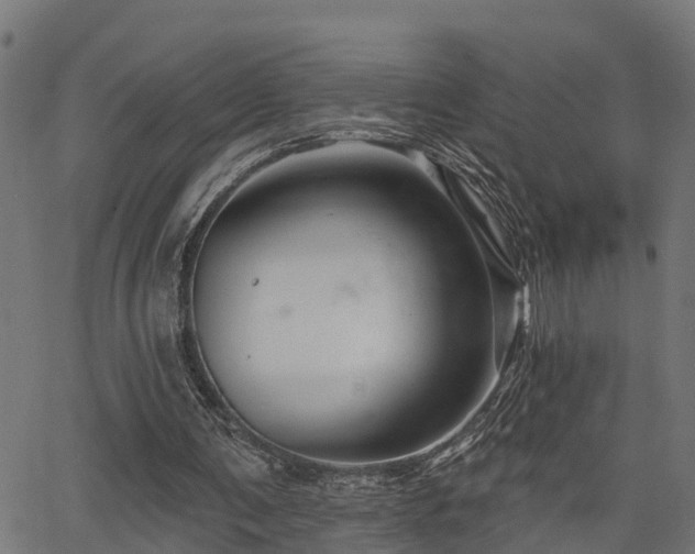 X0000066010291200603061304