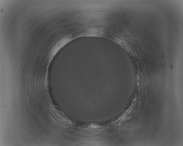 X0000066010292200603061304