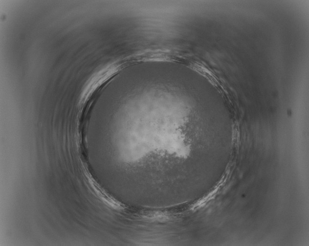 X0000066010293200603061304