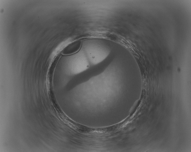 X0000066010294200603061304