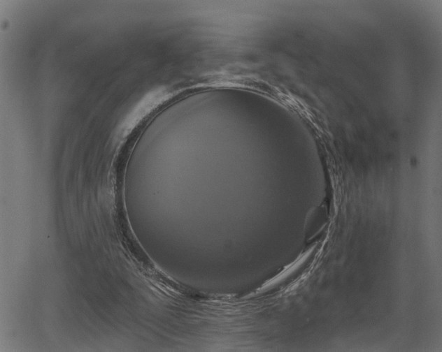 X0000066010295200603061304