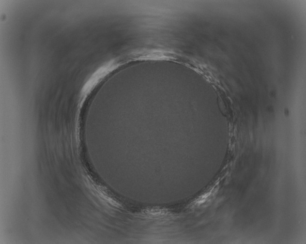 X0000066010296200603061304