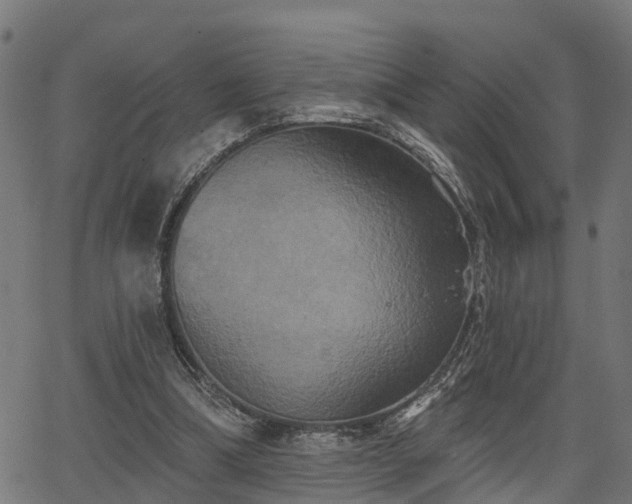 X0000066010298200603061304