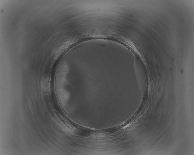 X0000066010299200603061304