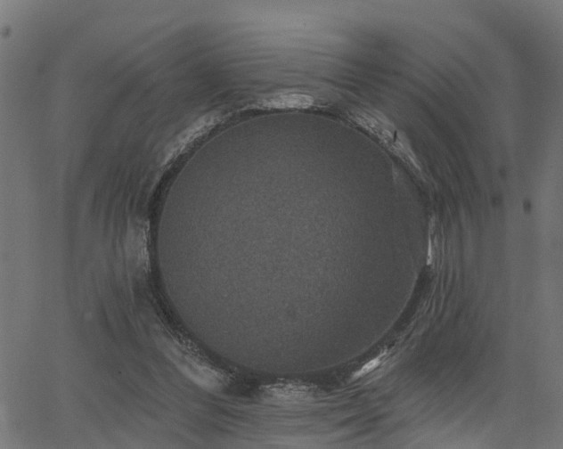 X0000066010300200603061304