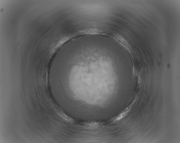 X0000066010301200603061304