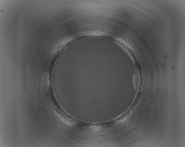 X0000066010302200603061304