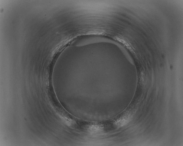 X0000066010303200603061304