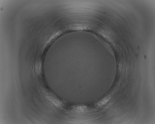 X0000066010304200603061304