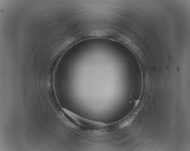 X0000066010305200603061304