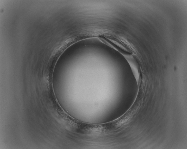 X0000066010306200603061304