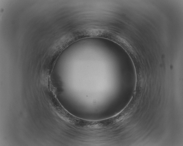 X0000066010307200603061304