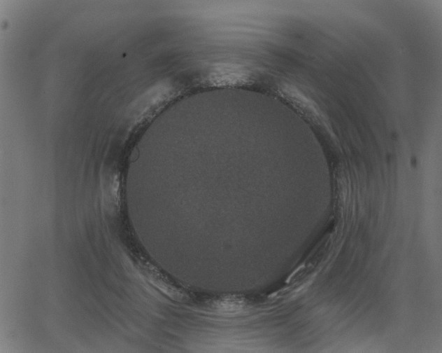 X0000066010308200603061304