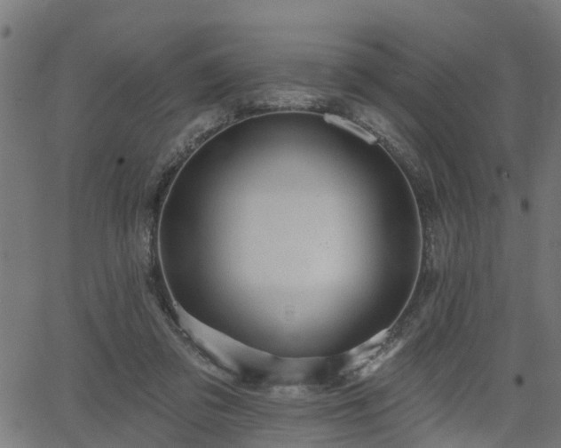 X0000066010309200603061304