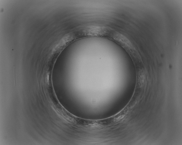 X0000066010310200603061304