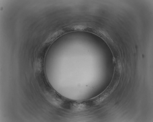 X0000066010311200603061304