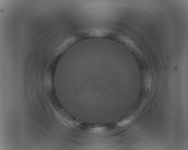 X0000066010312200603061304