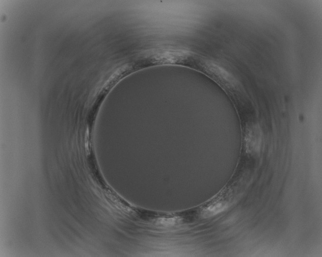 X0000066010314200603061304