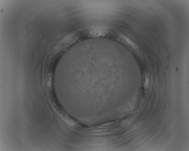 X0000066010315200603061304