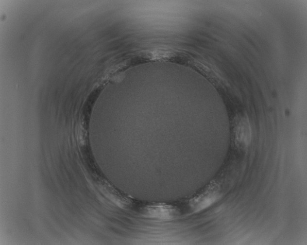 X0000066010316200603061304