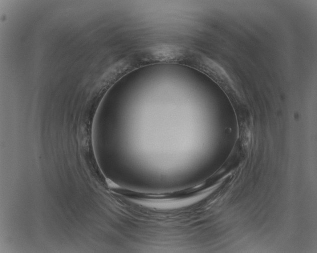 X0000066010317200603061304