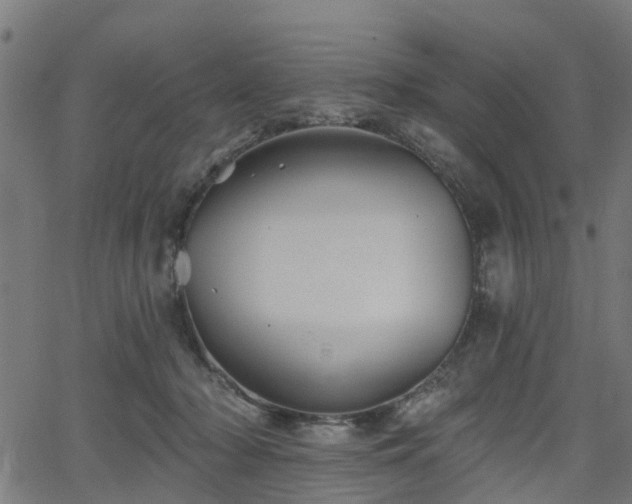 X0000066010318200603061304