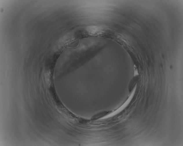 X0000066010319200603061304