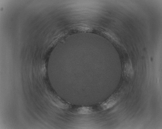 X0000066010320200603061304